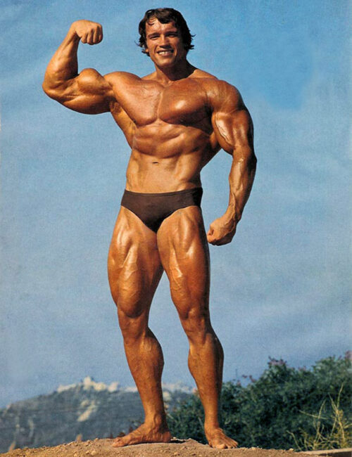 arnold-schwarzenegger